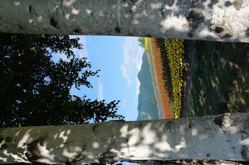 pension hoshi ni negaiwo