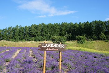 pension hoshi ni negaiwo