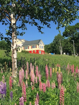 pension hoshi ni negaiwo