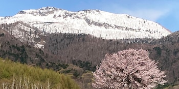 pension hoshi ni negaiwo