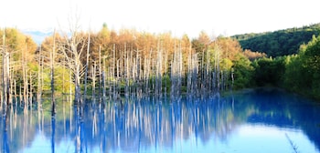 pension hoshi ni negaiwo