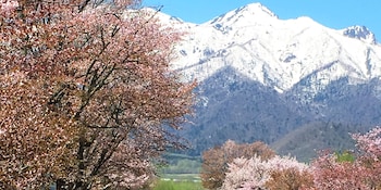 pension hoshi ni negaiwo