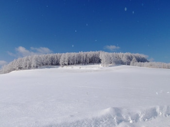 pension hoshi ni negaiwo