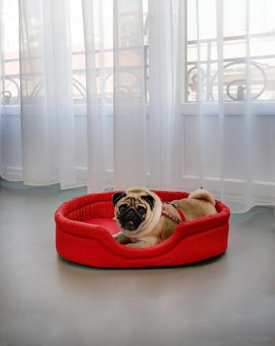 colors central ladadika