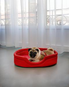 colors central ladadika