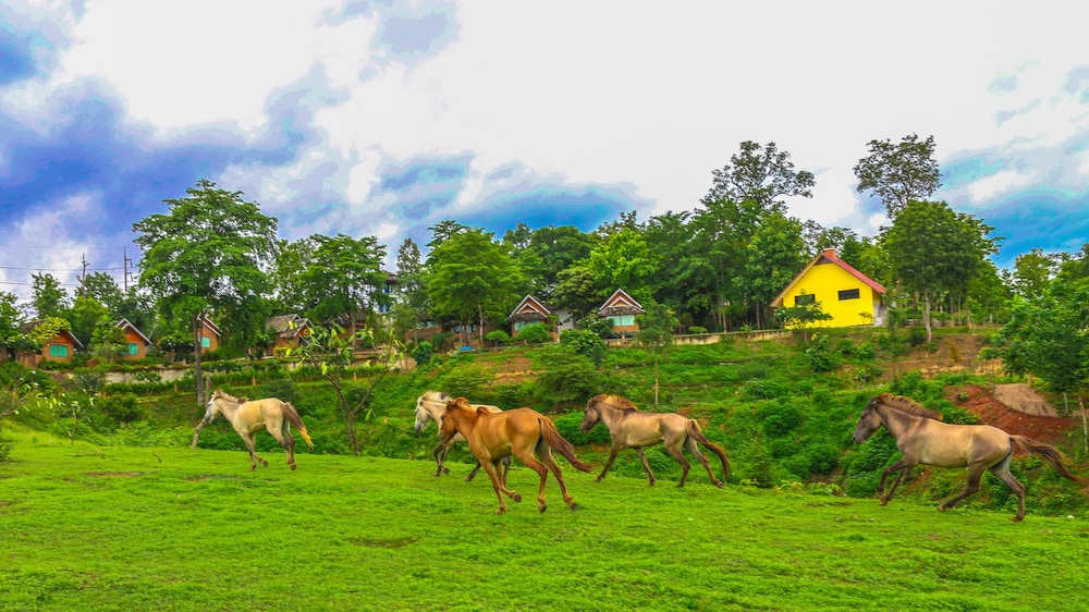 e outfitting pai resort