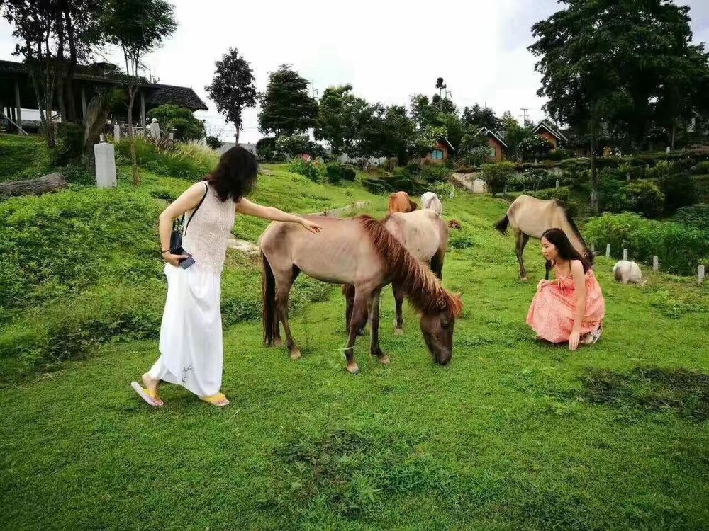 e outfitting pai resort