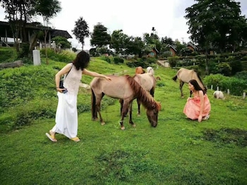 e outfitting pai resort