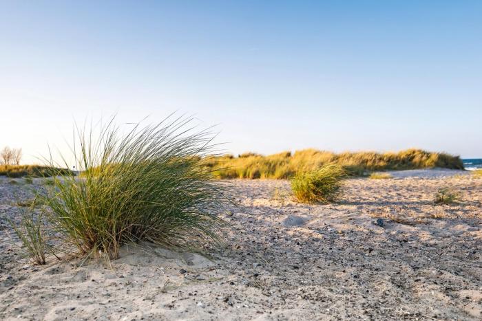 beach motel heiligenhafen