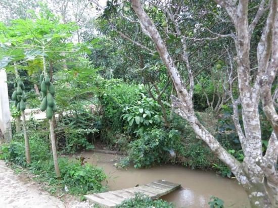 my hoa mekong homestay