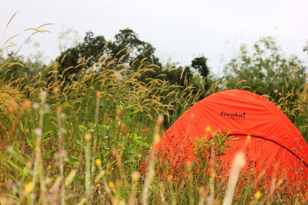 pepper farm phu quoc bungalow