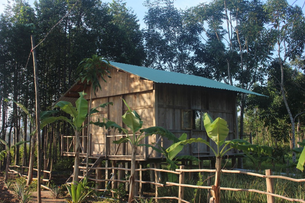 pepper farm phu quoc bungalow