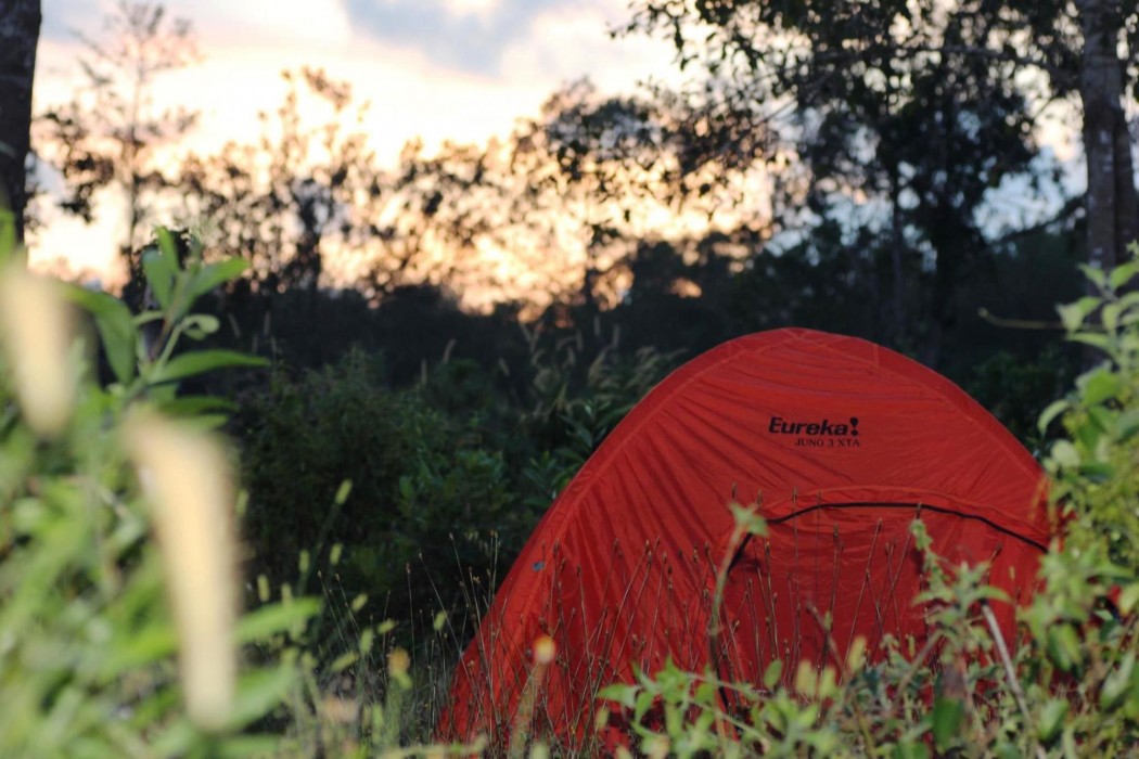 pepper farm phu quoc bungalow