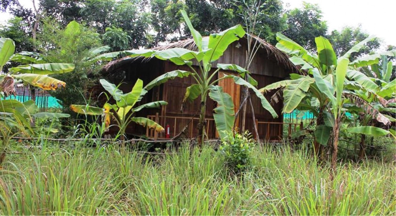 pepper farm phu quoc bungalow