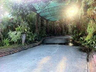 chalet de palm resort hatyai