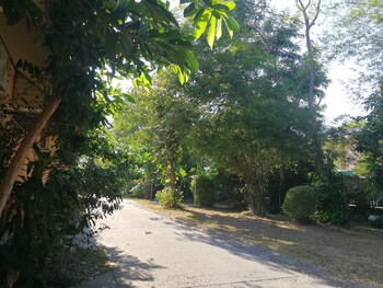 chalet de palm resort hatyai