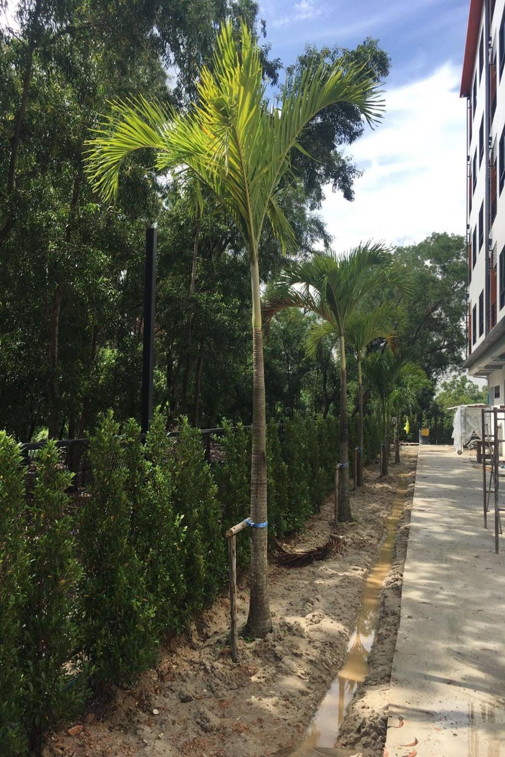 bangkok boutique resort rangsit