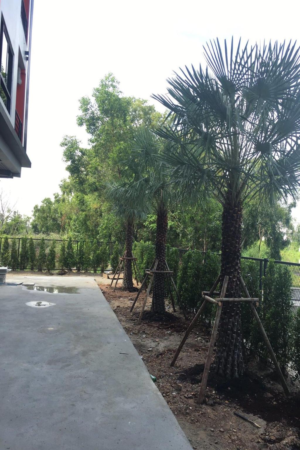 bangkok boutique resort rangsit
