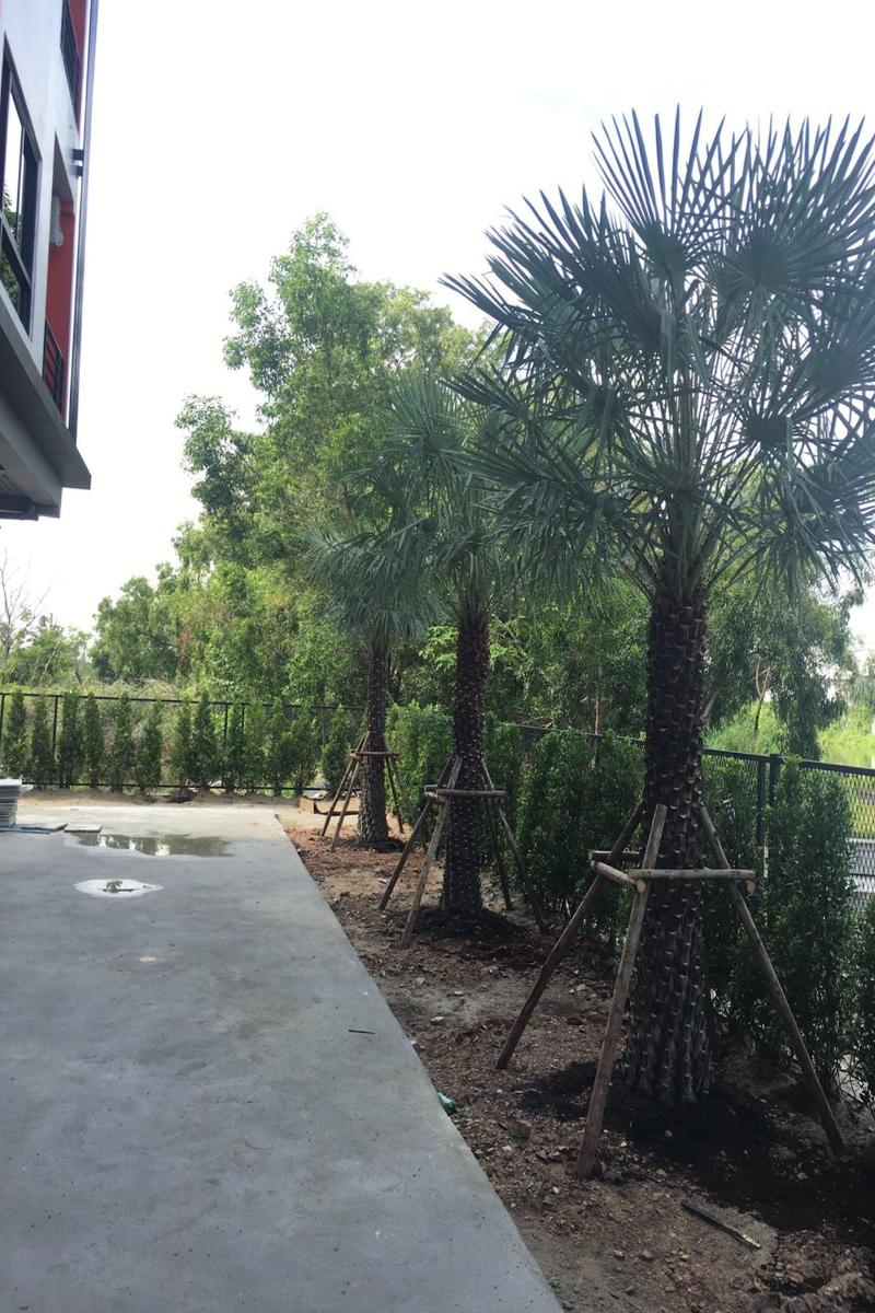 bangkok boutique resort rangsit