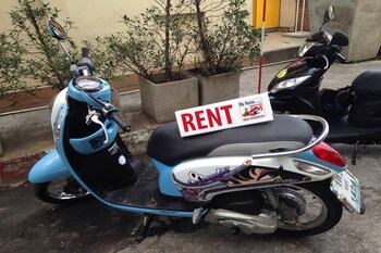 the grace house chiangmai hostel