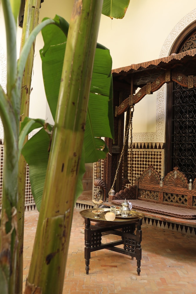riad ilayka