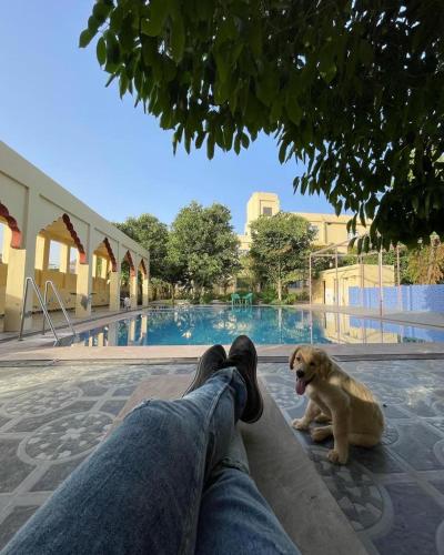 hotel pushkar heritage
