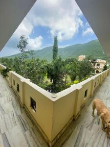 hotel pushkar heritage