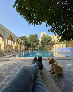 hotel pushkar heritage