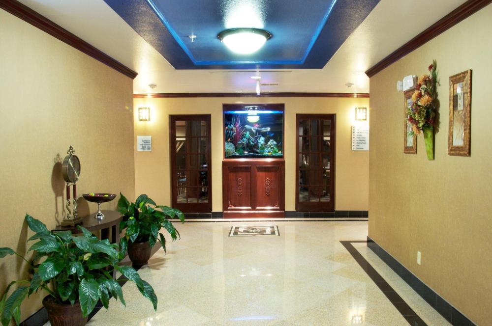 holiday inn express hotel and suites sealy by ihg