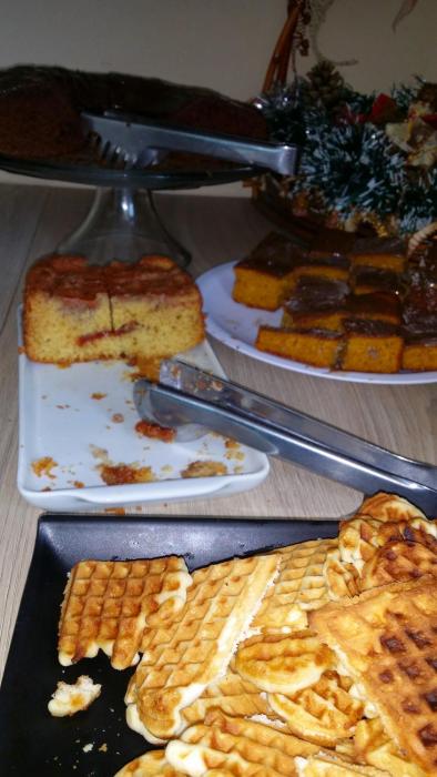 hotel pousada cabana da mata