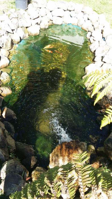 hotel pousada cabana da mata