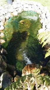 hotel pousada cabana da mata