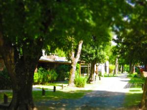 los platanos cabanas and suites