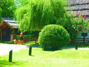los platanos cabanas and suites
