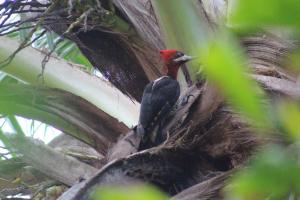 pousada todas as luas