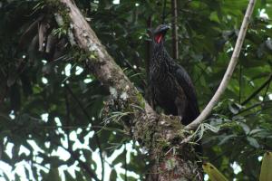 pousada todas as luas