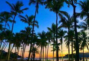 pousada chale suisso