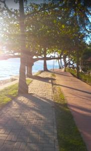 pousada chale suisso