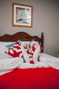 pousada chale suisso