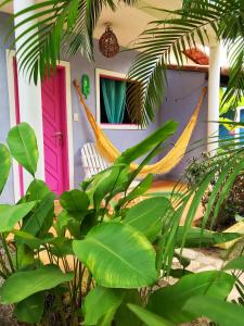 sao miguel do gostoso