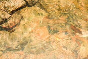 hotel fazenda massaranduba