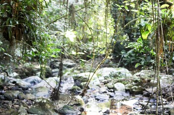 hotel fazenda massaranduba