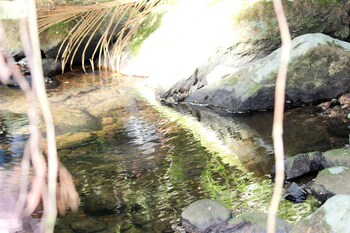 hotel fazenda massaranduba