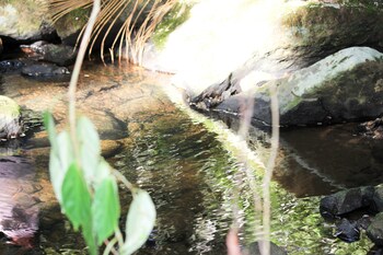 hotel fazenda massaranduba