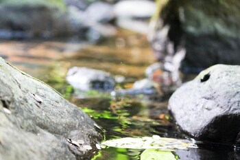 hotel fazenda massaranduba