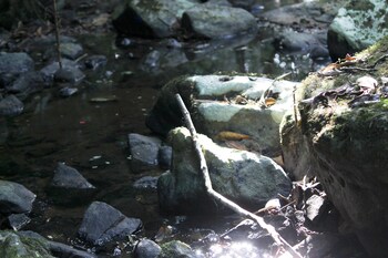 hotel fazenda massaranduba