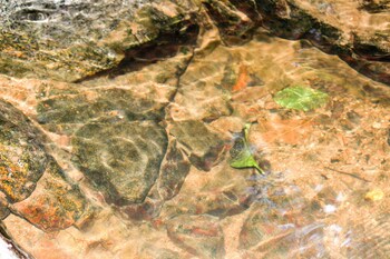 hotel fazenda massaranduba