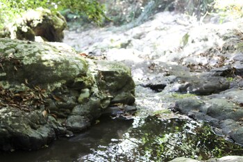 hotel fazenda massaranduba