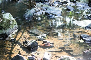 hotel fazenda massaranduba