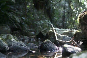 hotel fazenda massaranduba